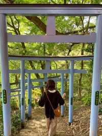 【栃木】足利織姫神社で七つの良い縁をゲットしよう