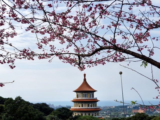 📍 Wuji Tianyuan Temple  🌸