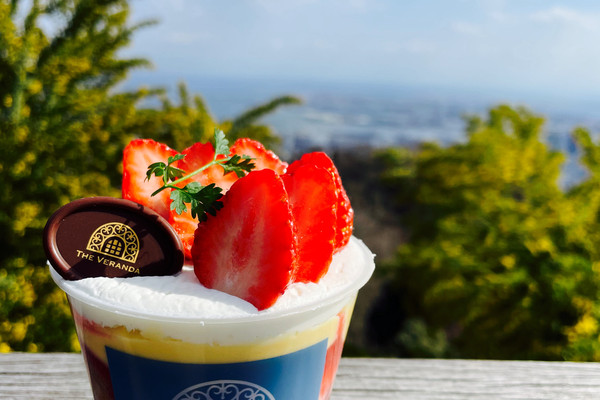 兵庫県】神戸布引ハーブ園の人気カフェ「ザ ヴェランダ神戸」 | Trip