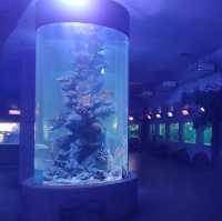 Sisaket Aquarium