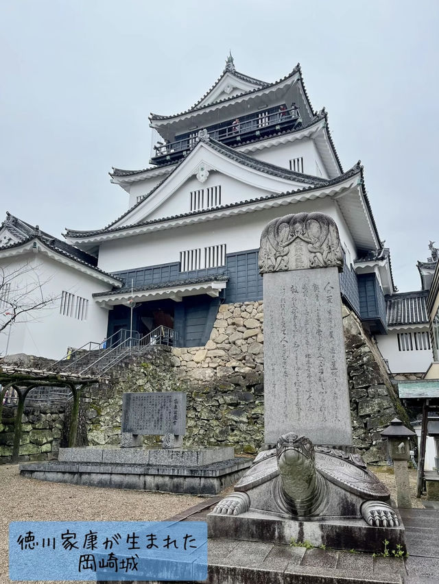 [無料]800本の桜🌸　　　　　　　　　　　　　　　　只今、桜祭り開催中