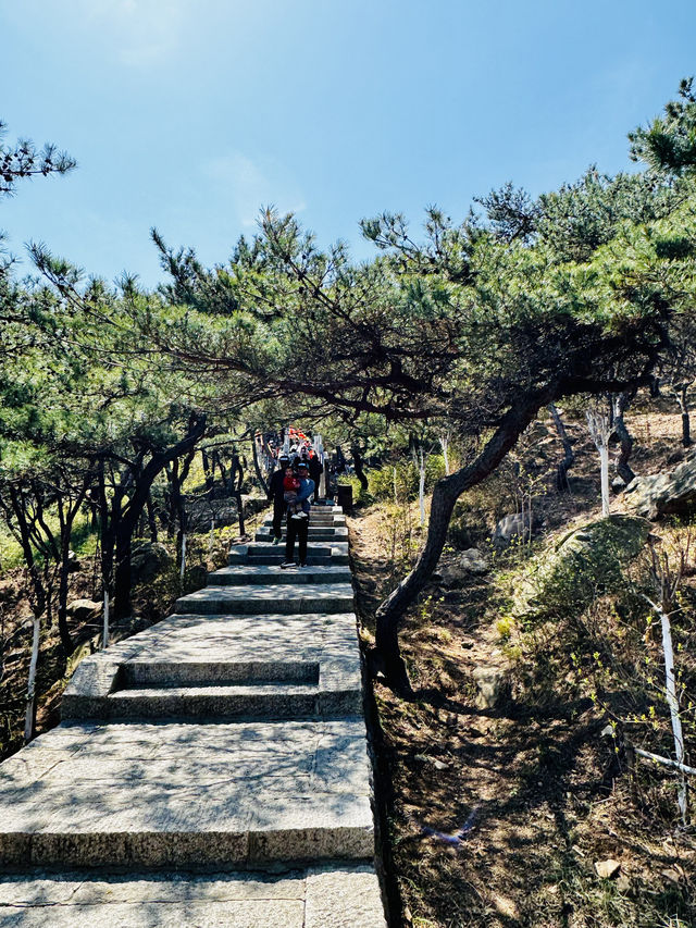 라오산(崂山) 양구(仰口,양코우) 풍경구