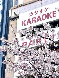 東京賞櫻必到人氣景點 ，逾千棵櫻花樹爭硏鬥麗