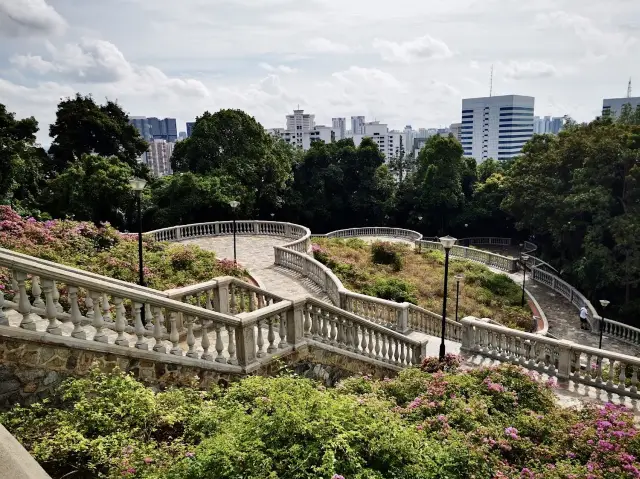 都市の真ん中の森。