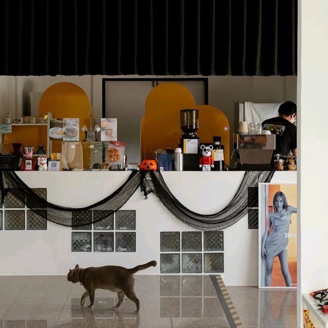 Cafe