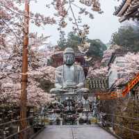 壺阪寺