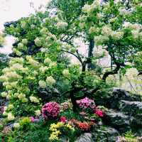臺北花博公園：花海盡收眼底