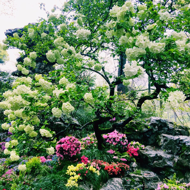 臺北花博公園：花海盡收眼底