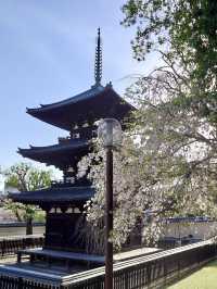Kofuku-ji Sanjunoto เจดีย์ 3 ชั้นมรดกชาติ จ.นารา