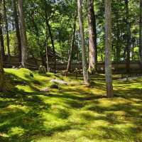 福岡島城中央公園：綠意盎然的城市綠洲，與大自然合而為一