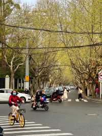 Vibrant Shanghai City Streets