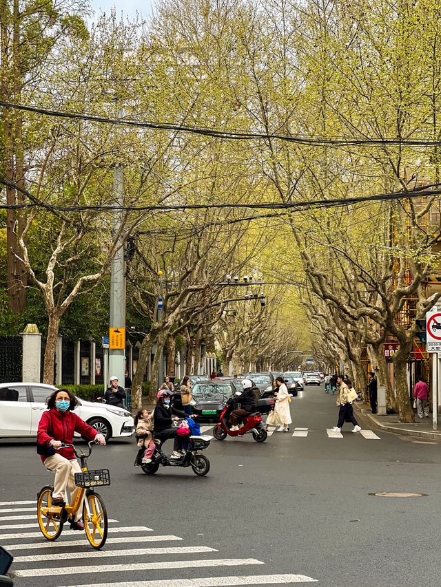 Vibrant Shanghai City Streets