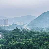 臺北象山步道：城市中的自然寧靜，俯瞰高樓大廈與綠意盎然的獨特景緻