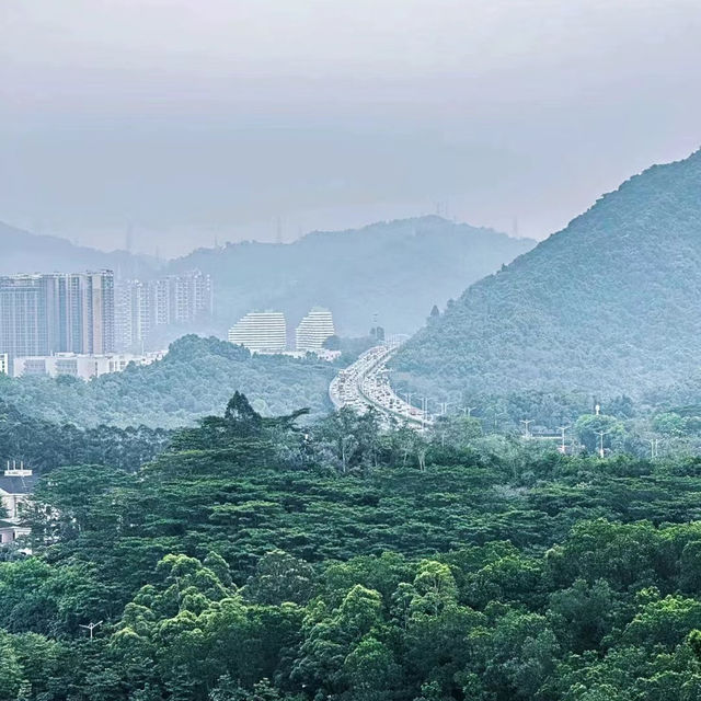 臺北象山步道：城市中的自然寧靜，俯瞰高樓大廈與綠意盎然的獨特景緻