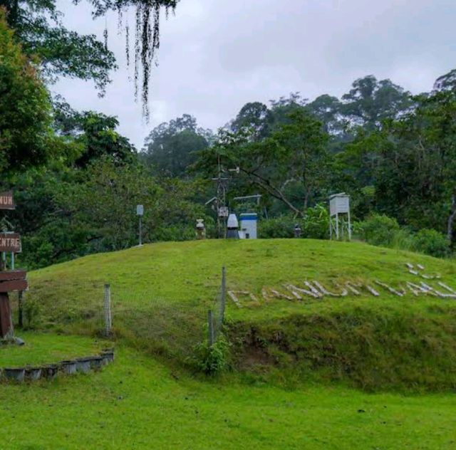 Danum Valley