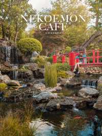 Nekoemon Cafe คาเฟ่เชียงใหม่ฟีลเหมือนเกียวโต