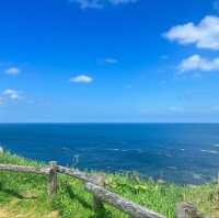 【北海道】納沙布岬：壯美斷崖，野生動物，感受北部大自然之美