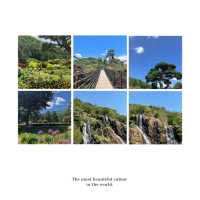 「日本鍋瀑布公園：春日浪漫，心靈寧靜」