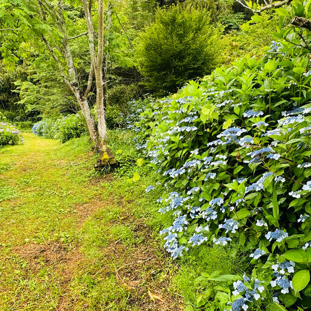 穴虫の郷