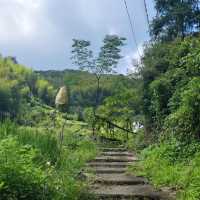 碧山巖：優質綠道，感受大自然魅力