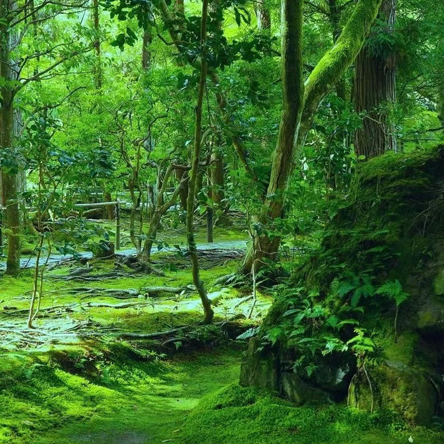 「增上寺：東京歷史寺廟，不容錯過！」