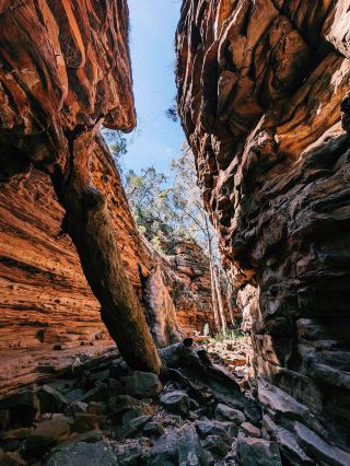 Alligator Gorge