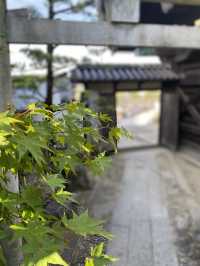 【倉敷】寺院の境内にある妙見宮