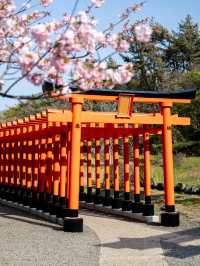 【青森にもあった！】千本鳥居絶景スポット⛩️⛩️高山稲荷神社
