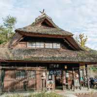 🏕️ทะเลสาบไซโกะ (Lake Saiko)🗻