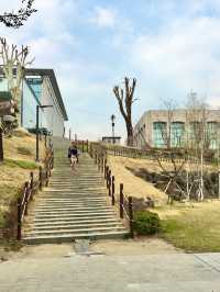 【首爾】延世大學：SKY之一的歷史悠久大學，感受濃厚的人文氣息