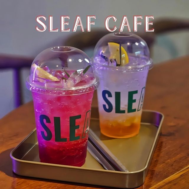 🍯SLeaf Cafe