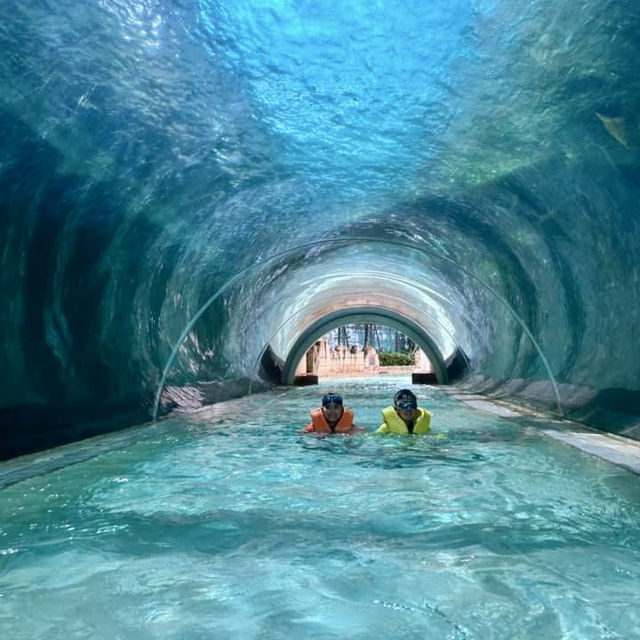 Splashing Fun in the Sun: Adventure Cove WaterPark 💦