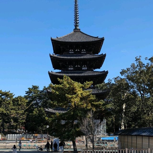 秋の奈良