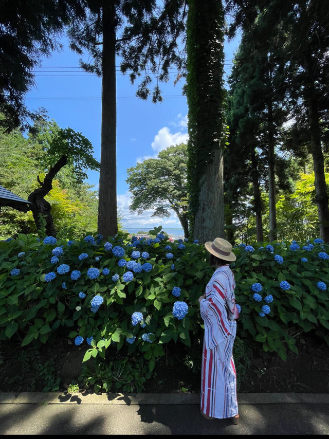 一生に一度は訪れたい💙世界の絶景💙あじさいの雲昌寺☺️💠✨