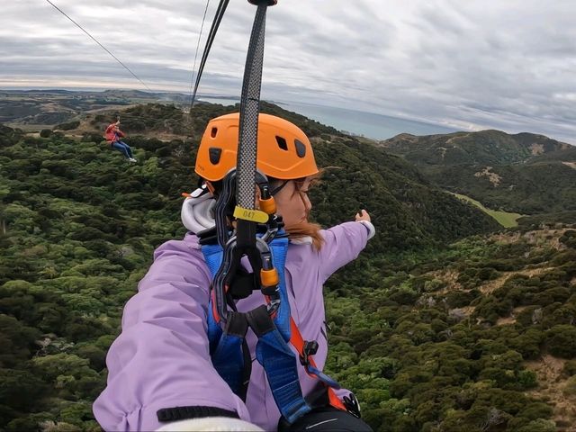 【紐西蘭南島】凱庫拉滑索體驗