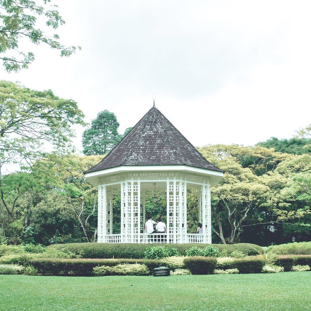 Singapore Botanic Garden
