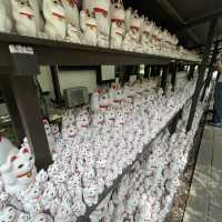 東京另類探貓行程 - 招財貓神社 「豪德寺」