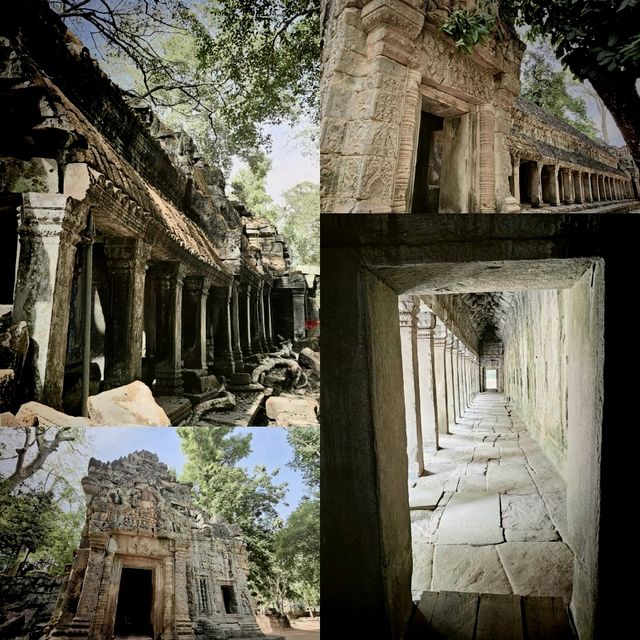 Tombraiding at the Angkor Wat 🛕