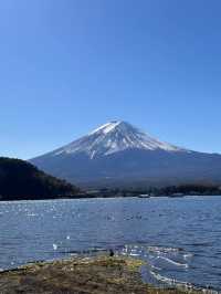 【東京河口湖】富士山景點推薦🏖️🔥：大石公園咖喱飯，Cafe Mimi歐式庭院