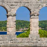 Roman History and Winemaking