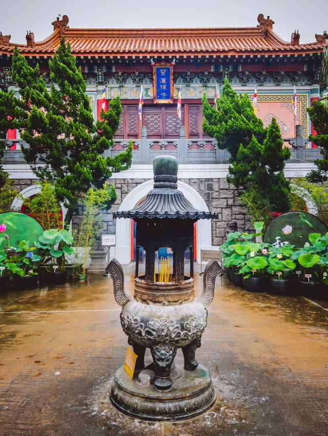 【香港大嶼山1日遊】昂坪360全景纜車🏖️，寶蓮禪寺🔥，方便又舒適！😍