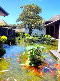 Insulging in Slow Travel at Nusa Dua, Bali