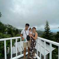 wander and book on trip.com