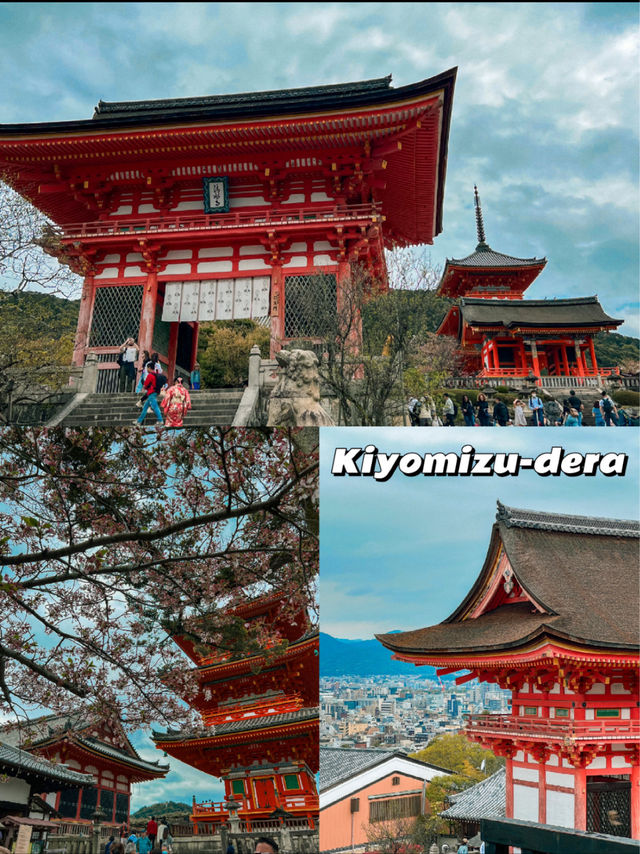 Kyoto Trip Guide: Shrines, Nature, Food & More!