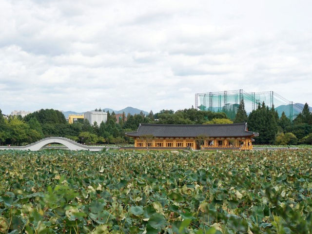 전주 한옥이 예쁜 도서관