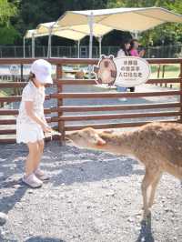 宜蘭景點・斑比山丘Bambi Land：迷你版奈良公園