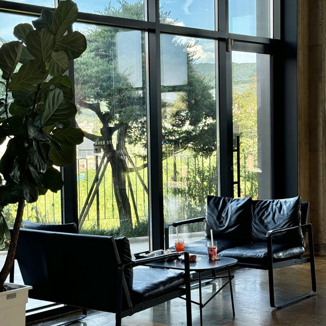 용인 에버랜드 근처 대형카페 화이트바움