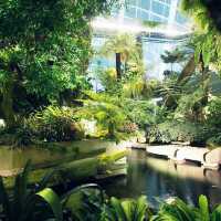 Singapore 🇸🇬 Most beautiful indoor garden 