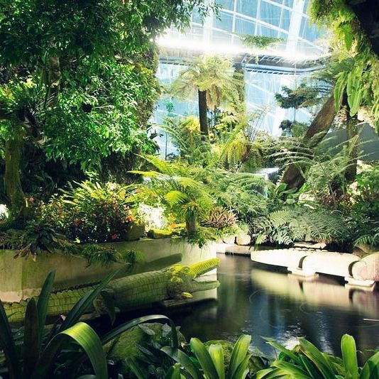 Singapore 🇸🇬 Most beautiful indoor garden 