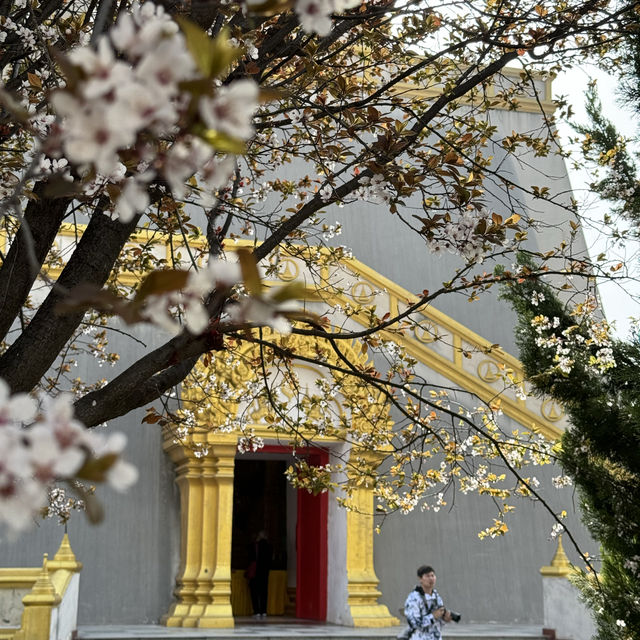 Encountering the Most Beautiful Spring at White Horse Temple